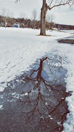 Snow covered landscape