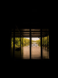 Reflection of trees on glass window