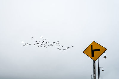 Low angle view of road sign with birds flying in background against sky