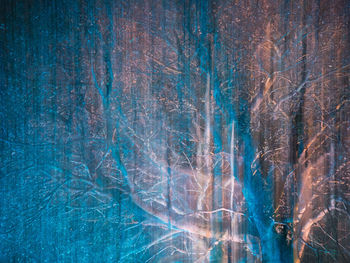 Full frame shot of bare tree