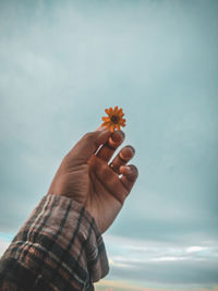 Cropped hand holding flower against sea against sky