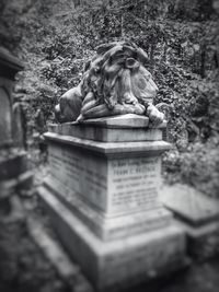 View of lion resting in temple