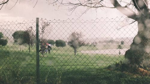 Chainlink fence on field