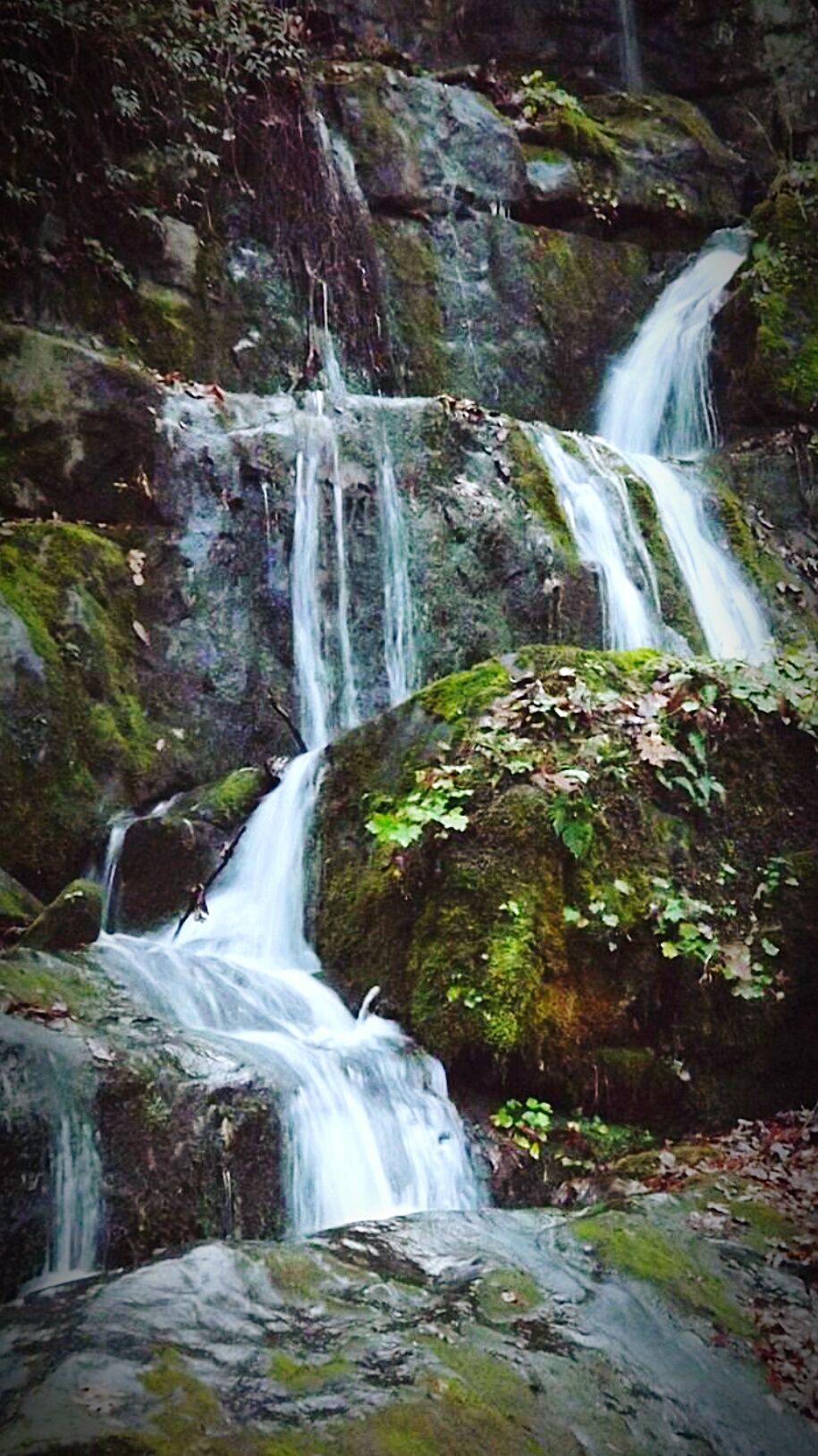 Waterscape waterfall