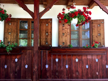 Potted plants outside house