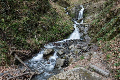 Stream flowing through rocks in forest