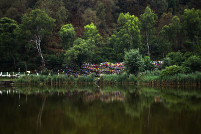 Scenic view of lake by trees in forest