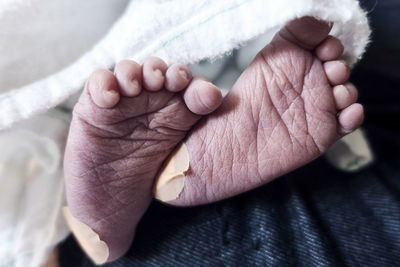 Low section of baby feet