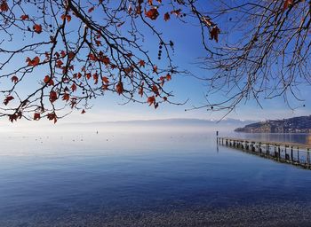 Blossoming ohrid lake