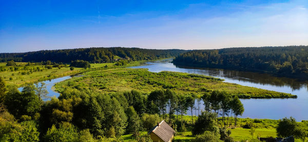 Scenic view of river amidst trees against sky