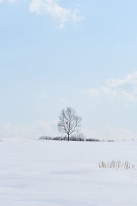 Scenic view of snow covered field against sky