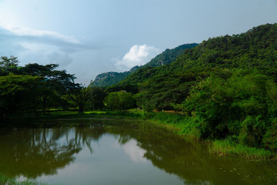 Scenic view of lake by trees against sky