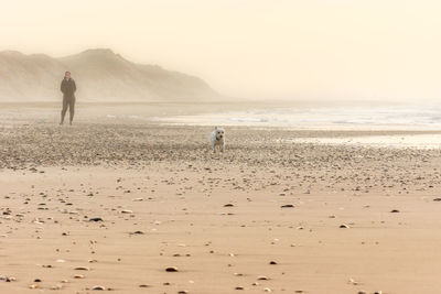 Woman standing while dog running at beach