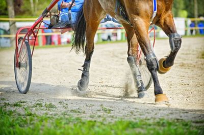 Low section of man sitting on horse cart