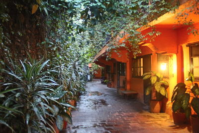 Narrow alley along buildings