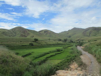 landscape