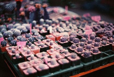 Close-up of food for sale