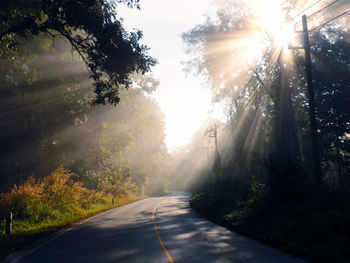 Empty road along trees