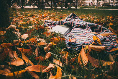 Book with mat on grassy field during autumn