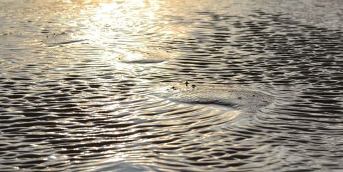 High angle view of rippled water