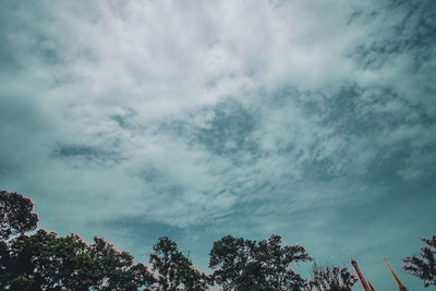 Low angle view of trees against cloudy sky