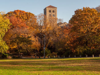 Trees and plants against sky during autumn