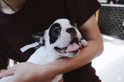 Midsection of woman holding dog