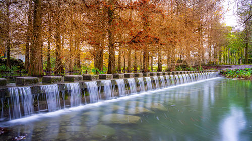 Scenic view of river flowing in forest during autumn