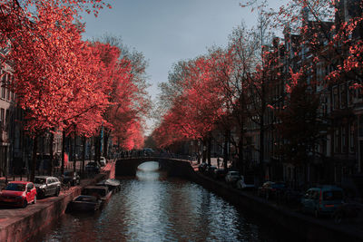 View of bridge over canal in city