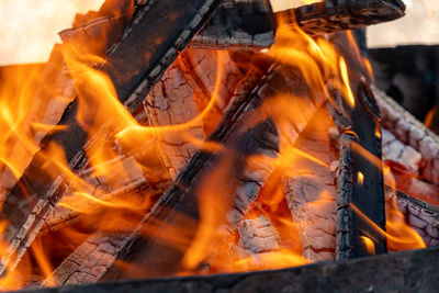 Close-up of bonfire on wooden log