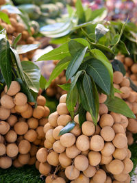 Close-up of vegetables for sale in market