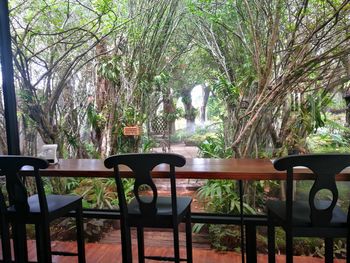 Empty chairs and table against trees in park