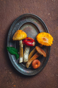 Dish with forest mushrooms and herbs. high quality photo