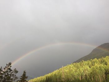 Scenic view of rainbow against sky