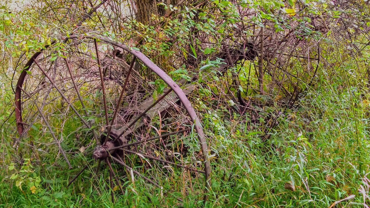 Old broken tractor wheel field