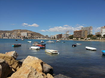 Boats in harbor with cityscape in background