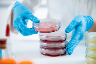 Microbiology bacteria laboratory work. hands of a microbiologist working in a research facility