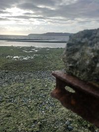 Close-up of rock on beach against sky