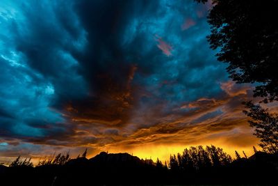 Low angle view of silhouette trees against dramatic sky