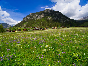 Scenic view of grassy field by mountains against sky