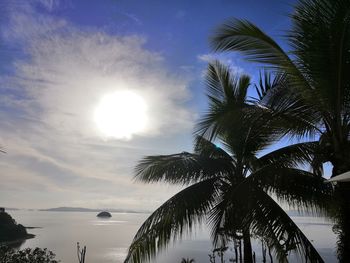 Low angle view of silhouette palm trees against sky during sunset