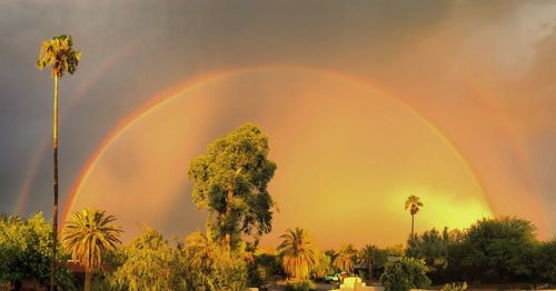 Scenic view of rainbow over trees against sky