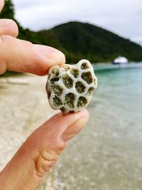 Close-up of hand holding coral