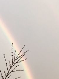 Low angle view of rainbow against sky