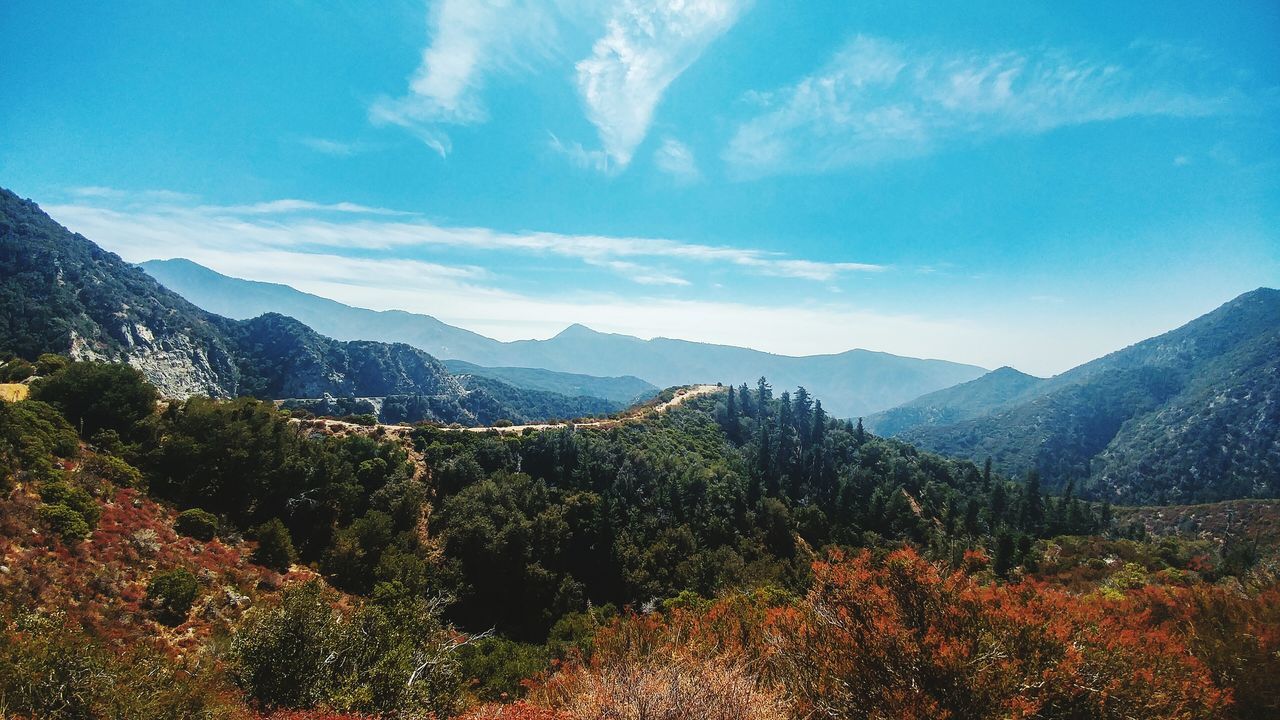 mountain, tranquil scene, scenics, mountain range, landscape, tranquility, tree, beauty in nature, non-urban scene, sky, nature, plant, growth, green color, remote, physical geography, cloud - sky, day, blue, valley, majestic, outdoors, no people, countryside, green, lush foliage, solitude, vacations