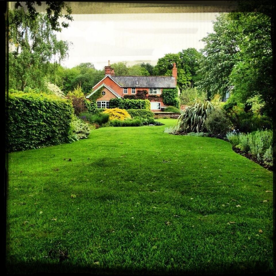 architecture, built structure, building exterior, grass, tree, green color, house, sky, growth, lawn, plant, grassy, field, nature, residential structure, tranquility, landscape, tranquil scene, day, no people