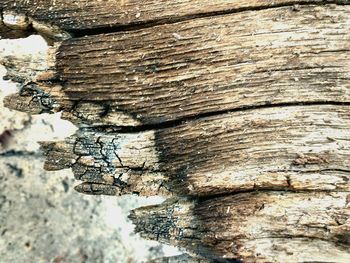 Full frame shot of wooden wall