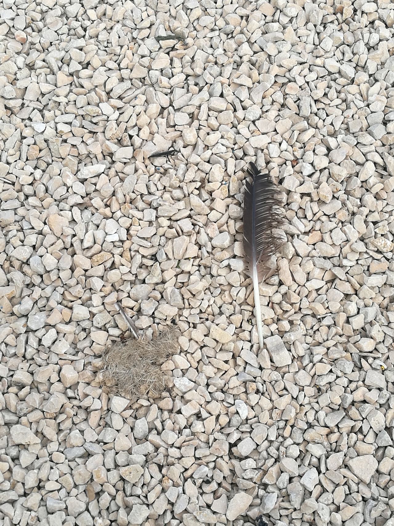 Anisa_Ahmad أنيسة