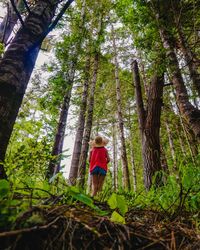 Rear view of woman standing by trees in forest