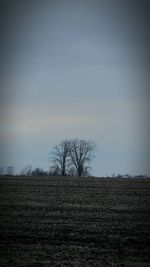 Bare trees on field against sky